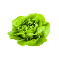 Sałata Masłowa Klasa I Włochy Szt