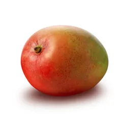 Mango Rte Brazylia szt.