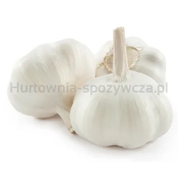 Czosnek Polska 3Szt