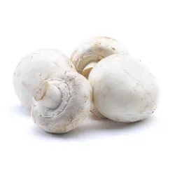 Pieczarka Polska Luz