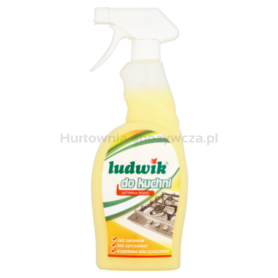 Ludwik Mleczko Do Czyszczenia Kuchni Spray 750Ml
