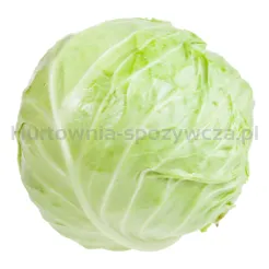 Kapusta Biała (Kg)