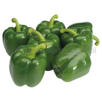 Papryka Słodka Zielona Klasa I Hiszpania 5Kg