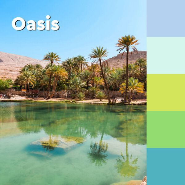 Post-It Karteczki samoprzylepne Super Sticky, OASIS, 76x76mm, 5x90 kart.  - 4