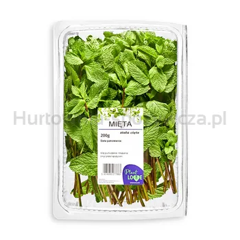 Plove Mięta Cięta 200G 
