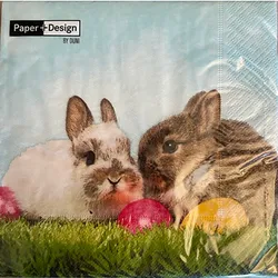 Pd Serwetki 33X33 B.Frie.20Szt