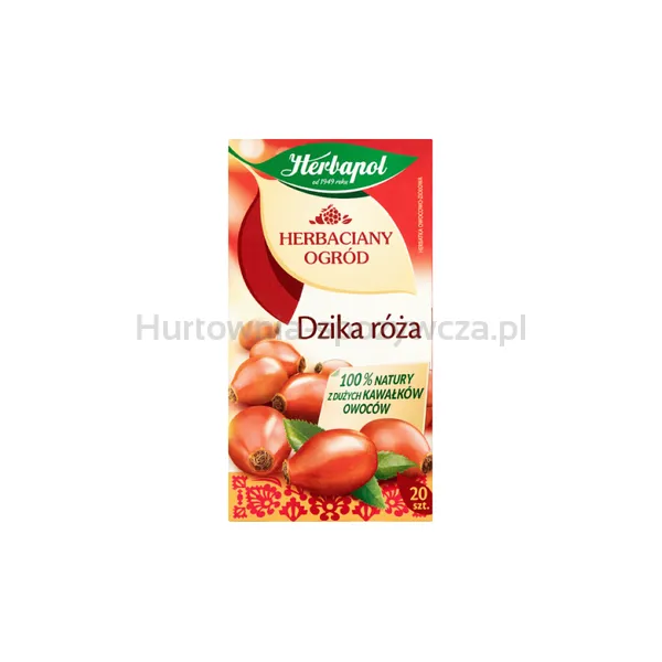 Herbapol Herbaciany Ogród herbatka owocowa dzika róża 20Torebek/70g