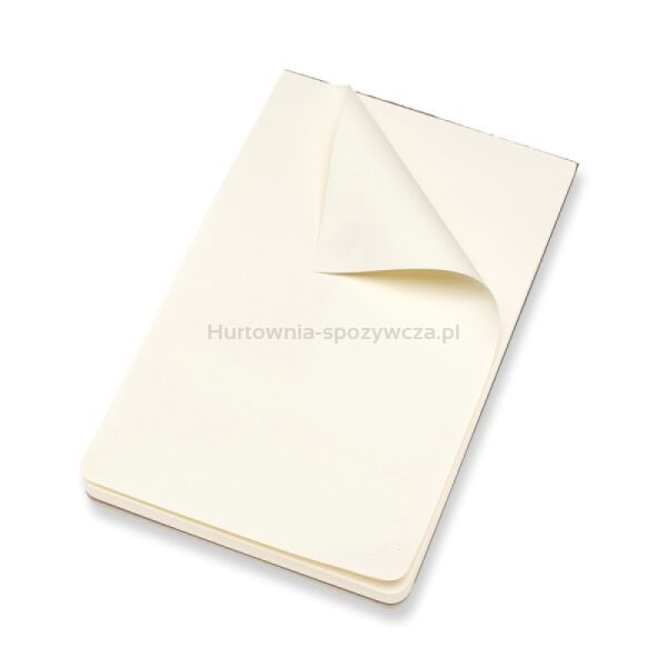 Moleskine Art Sketch Pad Album L (13x21 cm), 48 stron, czarny  - 4