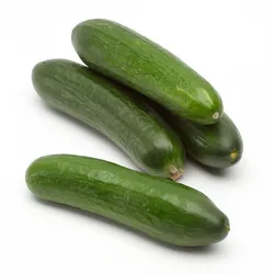Ogórek Krótki Turcja 5Kg