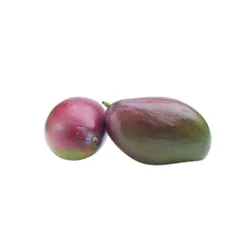 Mango Rte Brazylia 2szt.
