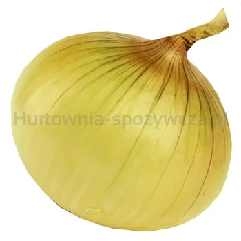 Cebula Cukrowa Hiszpania 10Kg