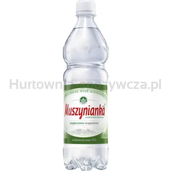 Muszynianka Plus Naturalna woda mineralna częściowo odgazowana, wysokozmineralizowana 0,6 l