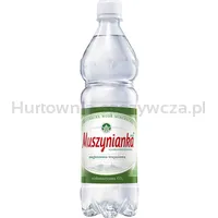 Muszynianka Plus Naturalna woda mineralna częściowo odgazowana, wysokozmineralizowana 0,6 l