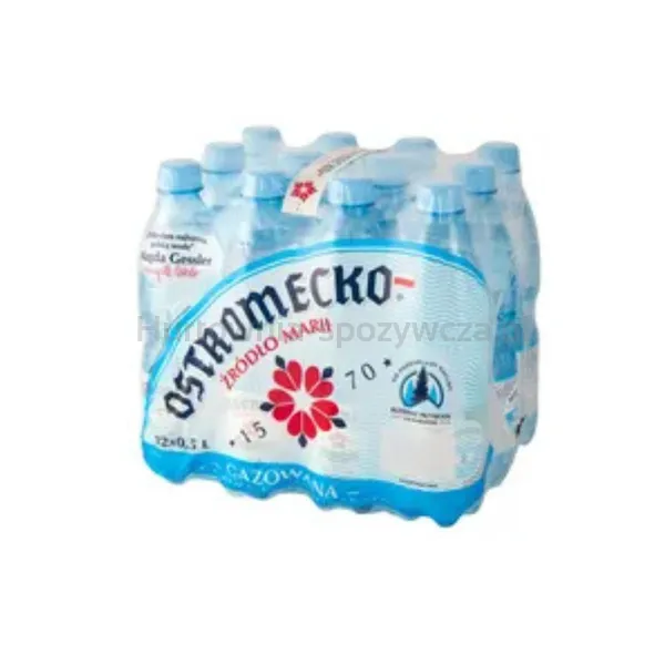 Ostromecko Woda Gazowana Niskosodowa Butelka 0,5 L Pet