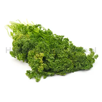 Pietruszka Nać Ozdobna Pęczek Włochy 300G