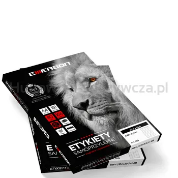 Etykieta A4, 66X33,8Mm 100 Arkuszy