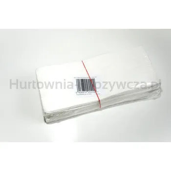 Eko-Pap Torebka Fałdowa Biała 27x11x60 250 szt.