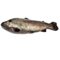 Pstrąg Tęczowy PatroSzampony (250-400G)