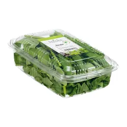 Baziółka Bazylia Cięta Kenia 100G