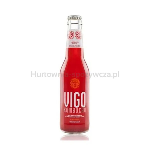 Kombucha Schisandra 330 Ml