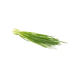 Szczypiorek Pęczek Polska 30G