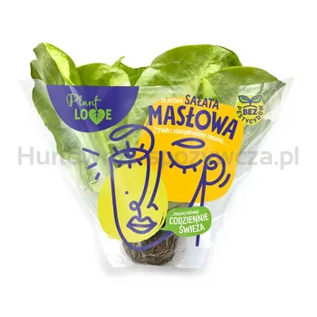 Sałata Masłowa Z Bryłą Klasa I Polska 1Szt Plant Love