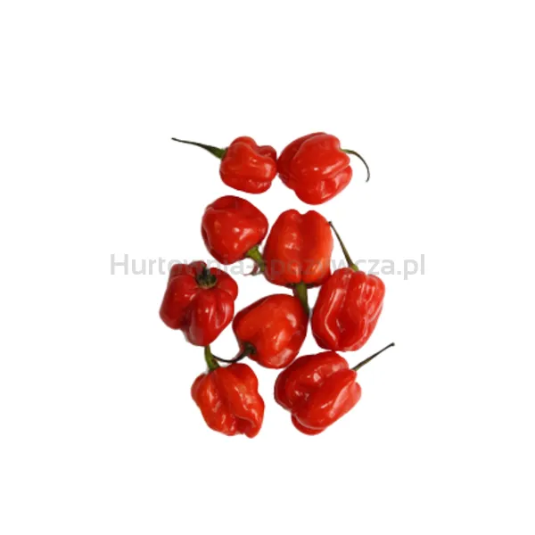 Papryka Ostra Habanero Czerwona Hiszpania 75G