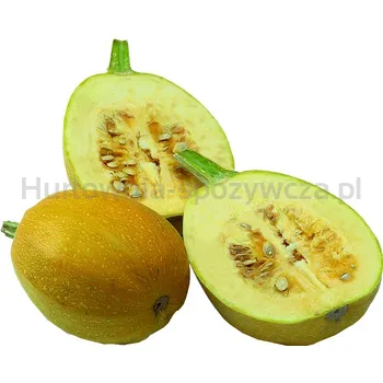 Dynia Makaronowa Polska (Szt)