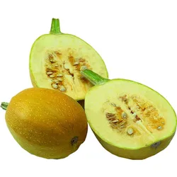 Dynia Makaronowa Polska (Szt)