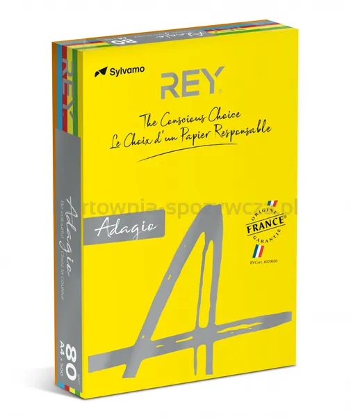 Rey Adagio Papier Ksero A4, 80Gsm, Mix Kolorów Intens, *Ryada080X906 R200, 5X100 Ark. 