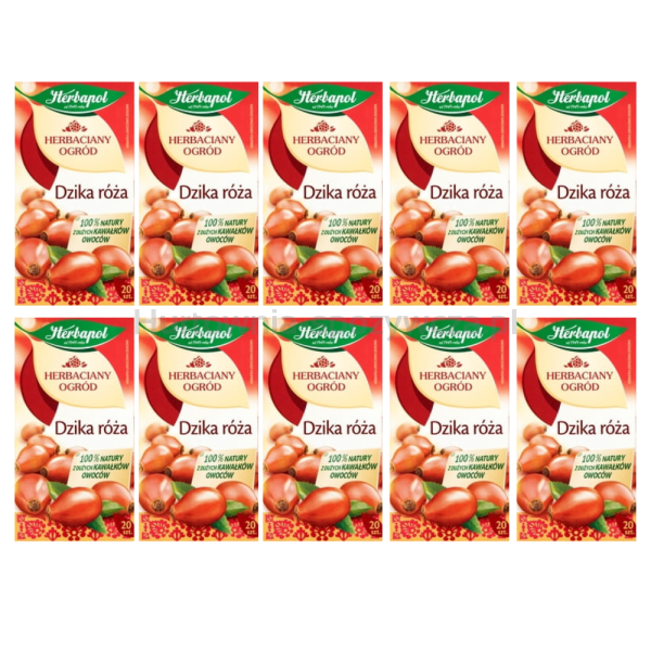 Herbapol Herbaciany Ogród herbatka owocowa dzika róża 20Torebek/70g x 10 sztuk