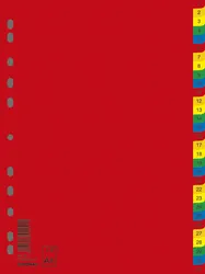 Donau Przekładki Pp, A4, 230X297Mm, 1-31, 31 Kart, Mix Kolorów 