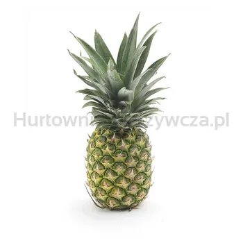 Ananas Chiquita Kostaryka 1 Szt
