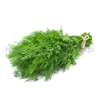 Koperek Pęczek Włochy 300G