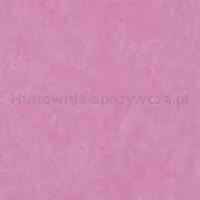 Ścierka Domowa Office Products, Wiskoza 70%, Gr. 80G/Mkg, 32X38Cm, 3Szt., Mix Kolorów - 3