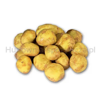 Ziemniak Wczesny Egipt kg