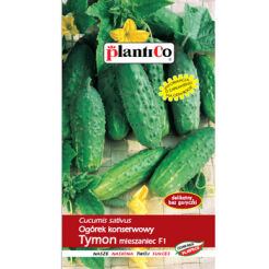 PlantiCo Ogórek konserwowy Tymon F1