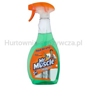 Mr Muscle Płyn Do Mycia Szyb 500Ml