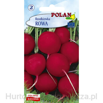 Rzodkiewka Rowa Polan